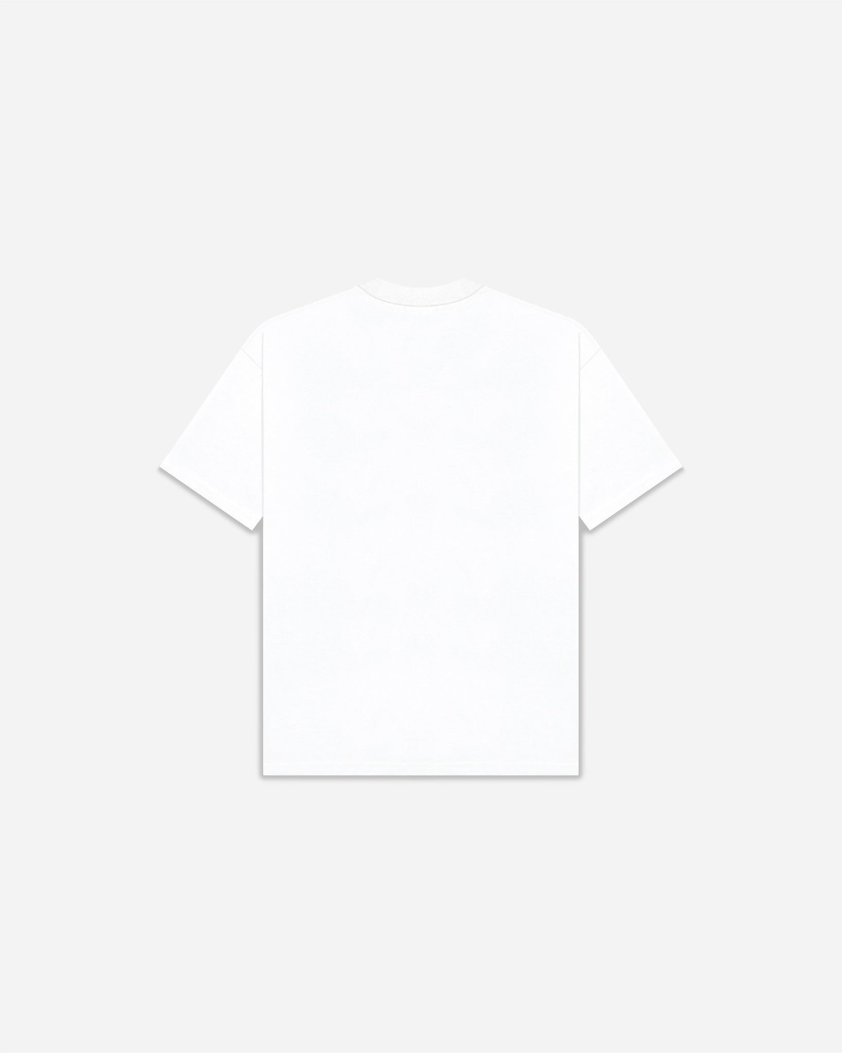 DIVINE HEAVYWEIGHT T-SHIRT WHITE